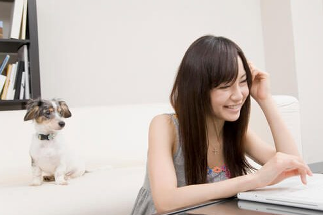 ｓｅ システムエンジニア なるには資格 Com