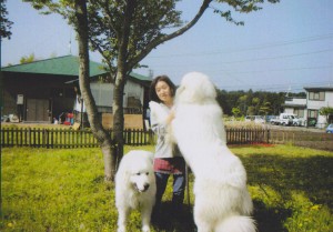 愛玩動物飼養管理士