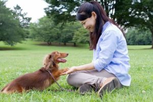 3位　家庭犬ドッグトレーナー