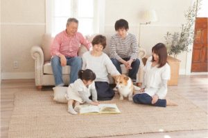 盲導犬歩行指導員