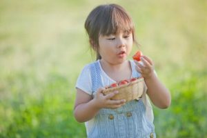 5位　食育メニュープランナー