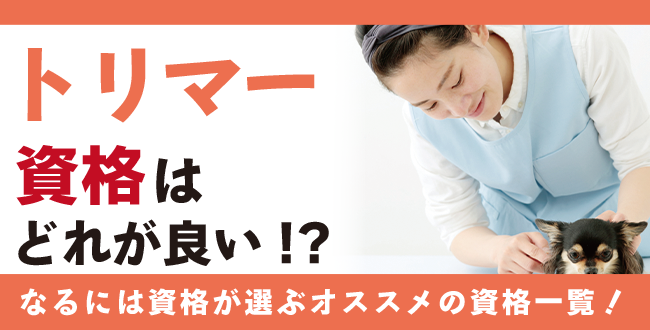 トリマー資格人気の5選 おすすめの取得方法や活躍の場もご紹介 なるには資格 Com