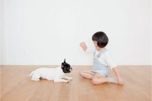 ペット繁殖インストラクター口コミ評判