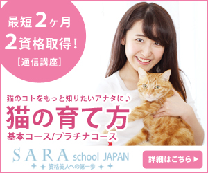 猫の育て方