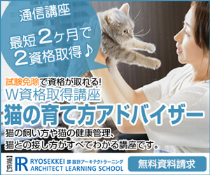 猫の育て方
