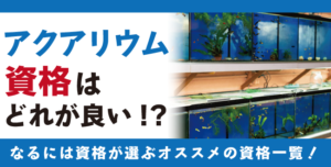 アクアリウム資格人気の資格徹底比較