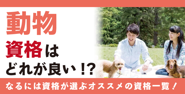 動物資格人気の資格徹底比較