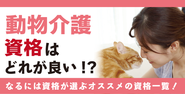 動物介護資格とは？難易度・取得方法・活躍の場紹介