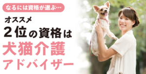 犬猫介護アドバイザー