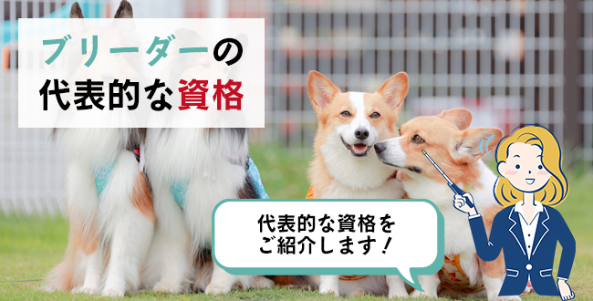 ブリーダーの代表的な資格