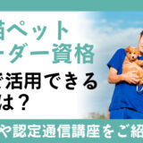 犬・猫ペットブリーダー資格が仕事で活用できる場面とは？資格試験や認定通信講座の紹介も