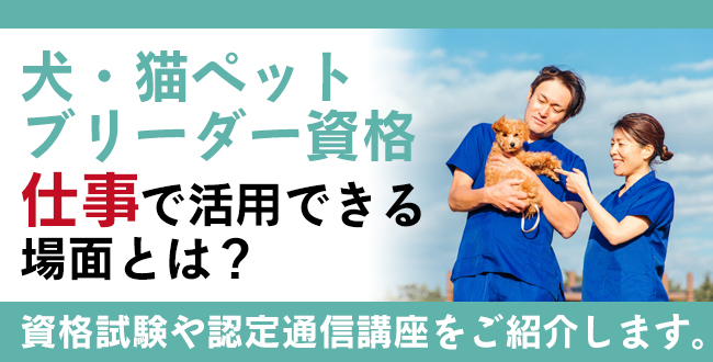 犬・猫ペットブリーダー資格とは？