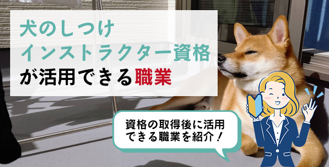 犬のしつけインストラクター資格が活用できる職業