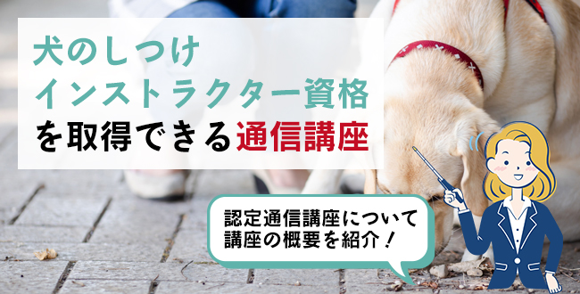 犬のしつけインストラクター資格を取得できる通信講座