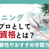 ドッグトレーニングを行うプロとして必要な資格とは？資格の必要性や取得時におすすめの学習方法の紹介も