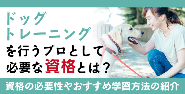 【ドッグトレーニング資格】のおすすめ資格6選！取得情報を解説