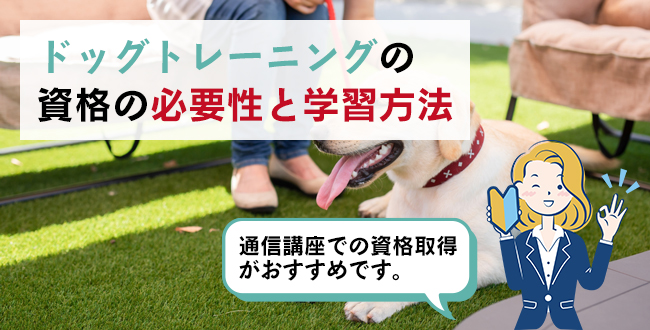 ドッグトレーニングの資格の必要性と学習方法