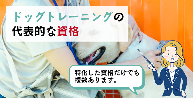 ドッグトレーニングの代表的な資格