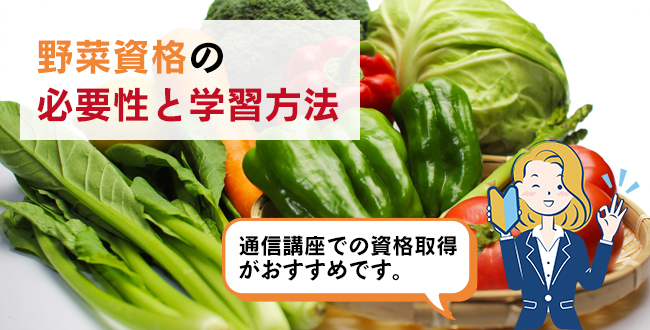 野菜資格の必要性と学習方法