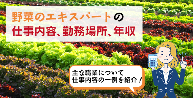 野菜のエキスパートの仕事内容・主な勤務場所・年収