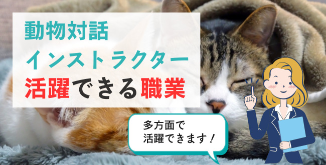 動物対話インストラクター活躍できる職業