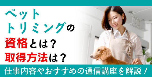 ペットトリミングの資格とは？取得方法は？