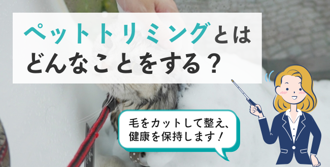 ペットトリミングとはどんなことをする?