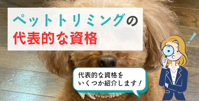ペットトリミングの代表的な資格