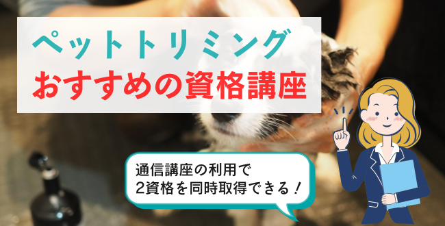ペットトリミングおすすめの資格講座