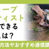 ビオトープアーティストって何？資格概要や活かせる職業、通信講座をまとめて紹介