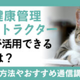 【猫資格】猫の健康管理インストラクター資格は何の証明なのかおすすめ通信講座とともにご紹介