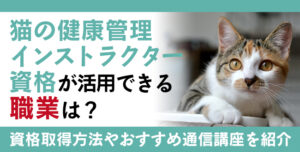 猫の健康管理インストラクター資格とは？