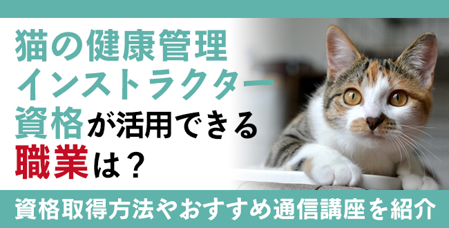 猫の健康管理インストラクター資格とは？