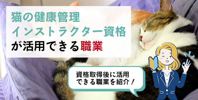 猫の健康管理インストラクター資格が活用できる職業