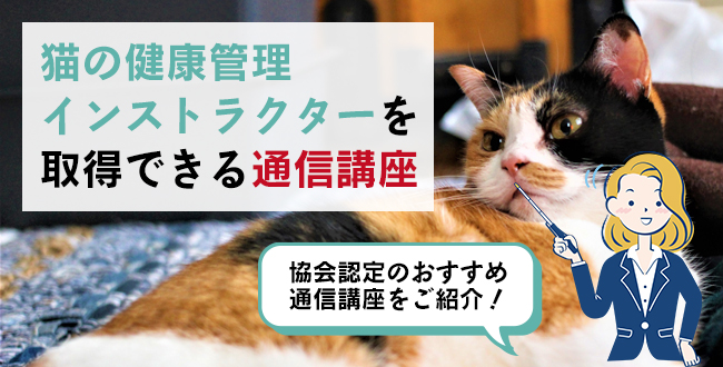 猫の健康管理インストラクターを取得できる通信講座