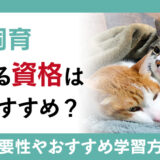 猫の飼育に関するおすすめの資格とは？猫関係の仕事に有利な資格をご紹介