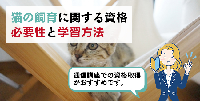 猫の飼育に関する資格の必要性と学習方法