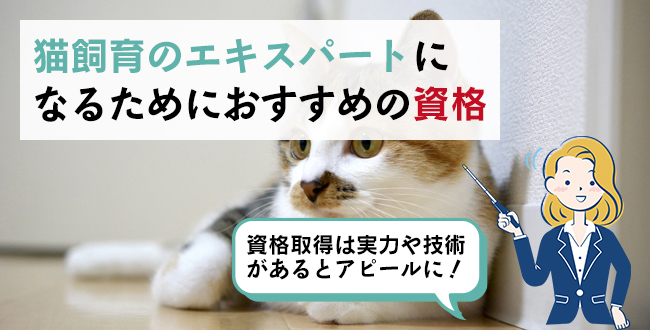 猫飼育のエキスパートになるためにおすすめの資格