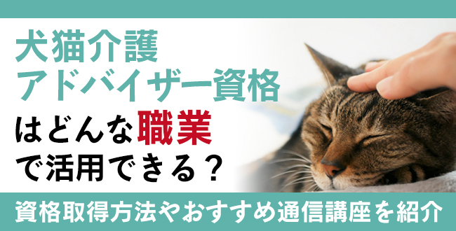 犬猫介護アドバイザー資格とは？