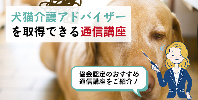 犬猫介護アドバイザーを取得できる通信講座