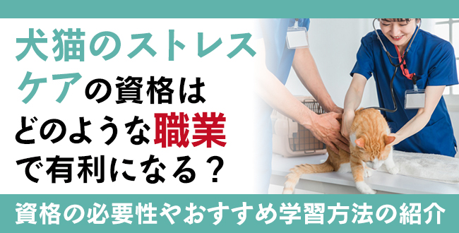 犬猫のストレスケア資格とは？難易度・取得方法・活躍の場紹介