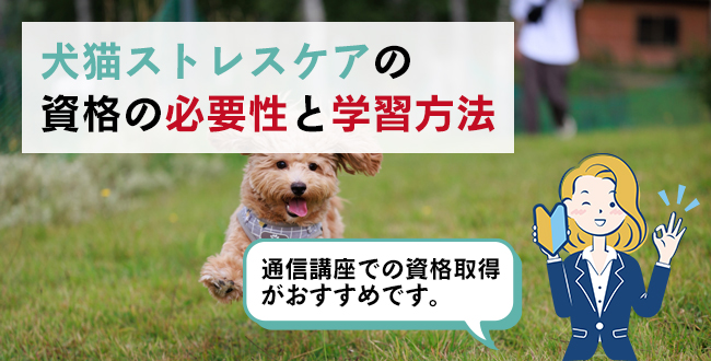 犬猫ストレスケアの資格の必要性と学習方法