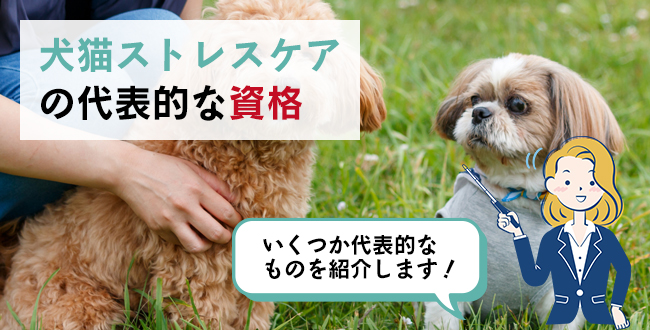 犬猫ストレスケアの代表的な資格