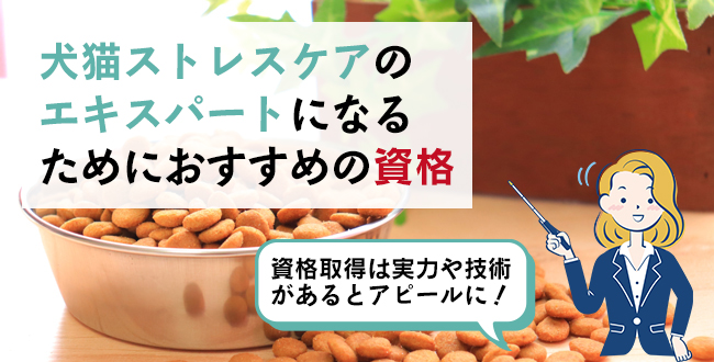 犬猫ストレスケアのエキスパートになるためにおすすめの資格