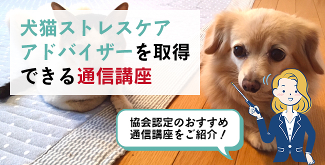 犬猫ストレスケアアドバイザーを取得できる通信講座