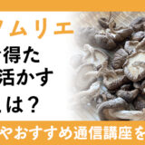 乾物ソムリエ資格で得た知識を活かす職業とは？資格の認定試験や通信講座についても確認