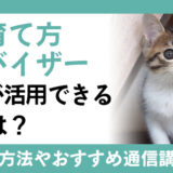 【猫専門】猫の育て方アドバイザー資格を取得した人はどのように活用しているのか？検定試験や認定通信講座の詳細をご紹介