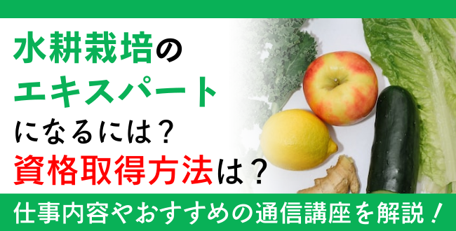 水耕栽培資格とは？難易度・取得方法・活躍の場紹介