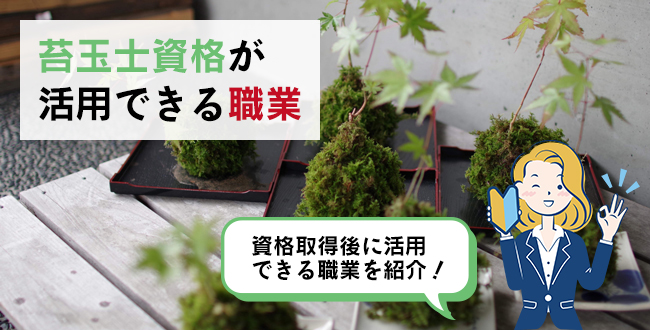 苔玉士資格が活用できる職業