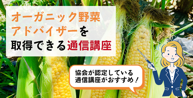 オーガニック野菜アドバイザーを取得できる通信講座